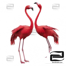 Flamingo-model