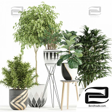 Indoor plants set 240