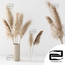 Set of pampas in vase