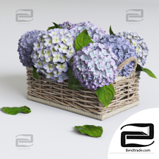 Bouquet Bouquet Hydrangea in a basket