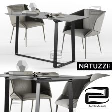 Table and chair Natuzzi 03