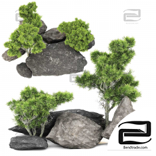 Stones with juniper plants