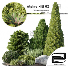 Outdoor plants Alpine Hill 17