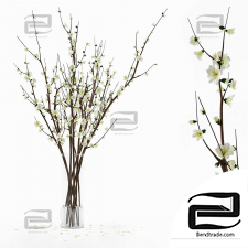 Branches bouquets