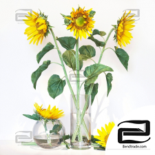 Sunflowers 02