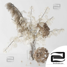 Bouquets with lunaria, pampas grass and hydragea