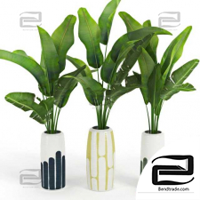 Banana_Palm_Striped_Tall_Vase