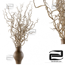 Bouquet Bouquet Dried twisted branches 33