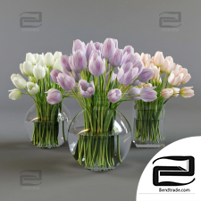 Bouquets Bouquet Three vases with tulips