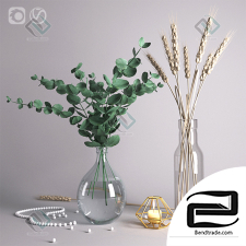 Decorative set with eucalyptus Decor set with eucalyptus 21