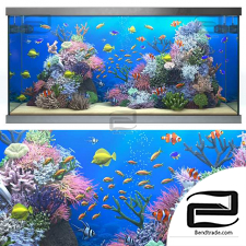 Marine Aquarium 87