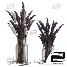 Bouquets from lavender and pennisetum