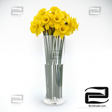 Bouquet Bouquet Tubular daffodil