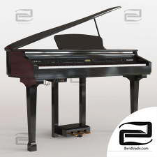 Digital Piano Kurzweil KAG100