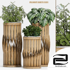 Plant set 06