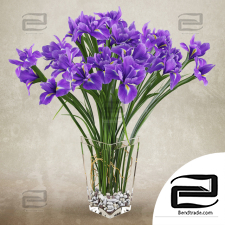 Bouquet Bouquet Irises