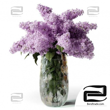 Lilacs bouquets