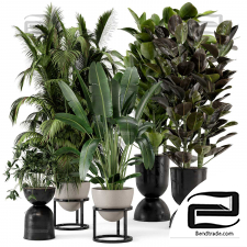 Indoor plants set 04