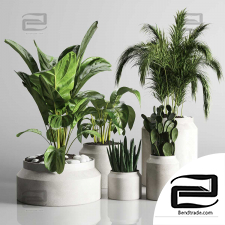 Indoor plants set 198