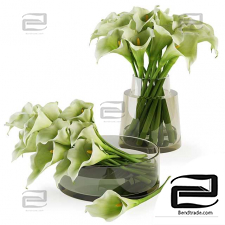 Bouquets from callas