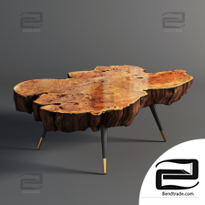Coffee table Wood slab
