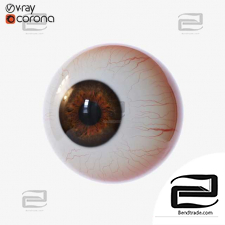 Eyeball Eye