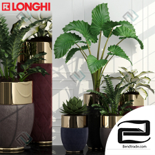 Longhi Godwin Plants
