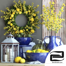 Decorative set Decor set with lemons
