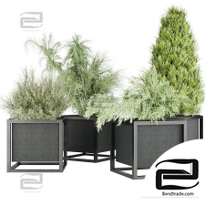 Outdoor Plants Collection 009
