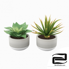 Potted plant 3D Model id 11839