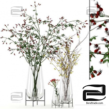 Twigs in Echasse Vases