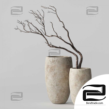 Vases with dry Branches