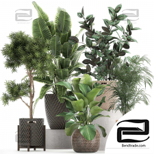 Indoor plants set 979
