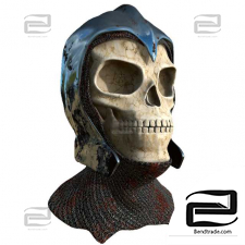 Skull in a helmet