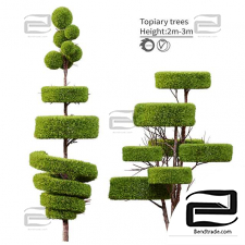 Topiary Trees