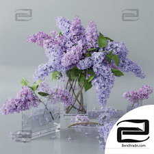 Lilac Bouquets