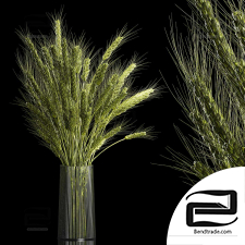 Bouquets of wheat branches