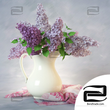Bouquet of lilacs in a vase