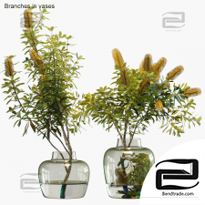 Banksia Bouquets