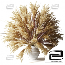 Fluffy bouquet of dry grass with tails in a glass white vase