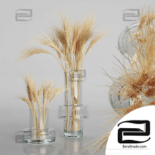 Bouquets of wheat