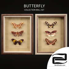 Butterfly Collection Set