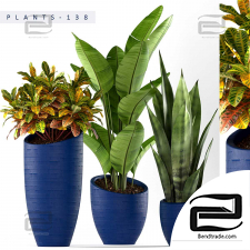 Indoor plants set 605