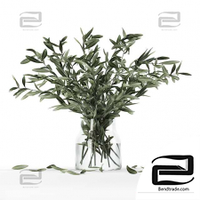 Bouquets from olive branches