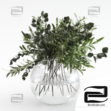 Bouquet of olives and eucalyptus