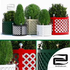 Street plants Outdoor pots collection