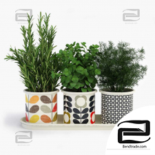 Kitchen plants in pots Orla Kiely Herb Pots