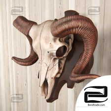 Ram skull with wall mount