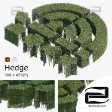 Bushes Hedge 13