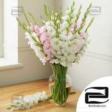 Gladiolus Bouquets 16